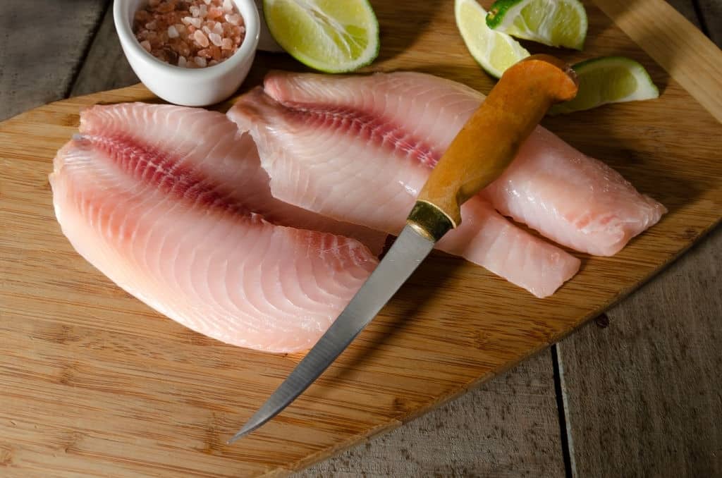 Best Fish Fillet Knife Reviews [2021] Bladesto